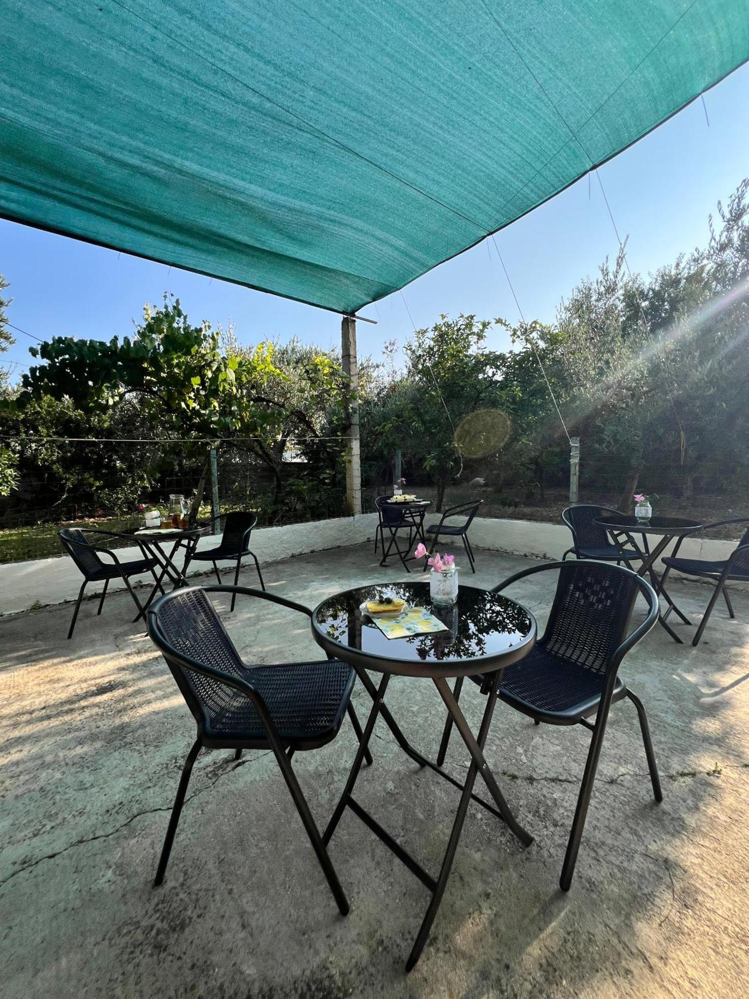 Serenity In Apartahotel Vlorë