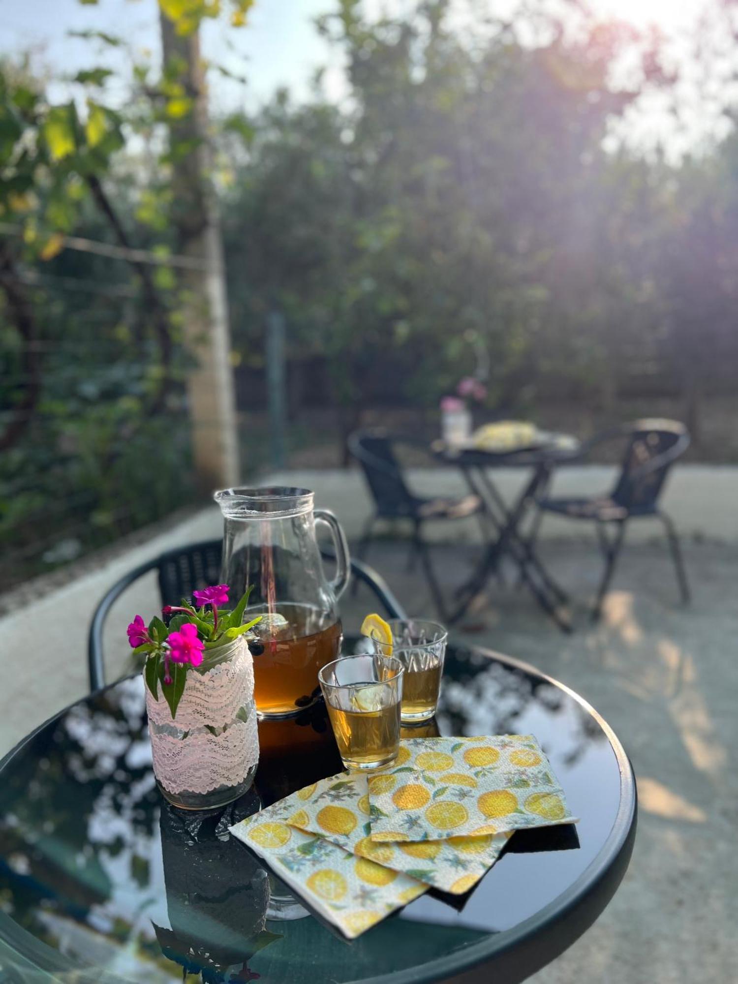 Serenity In Vlorë