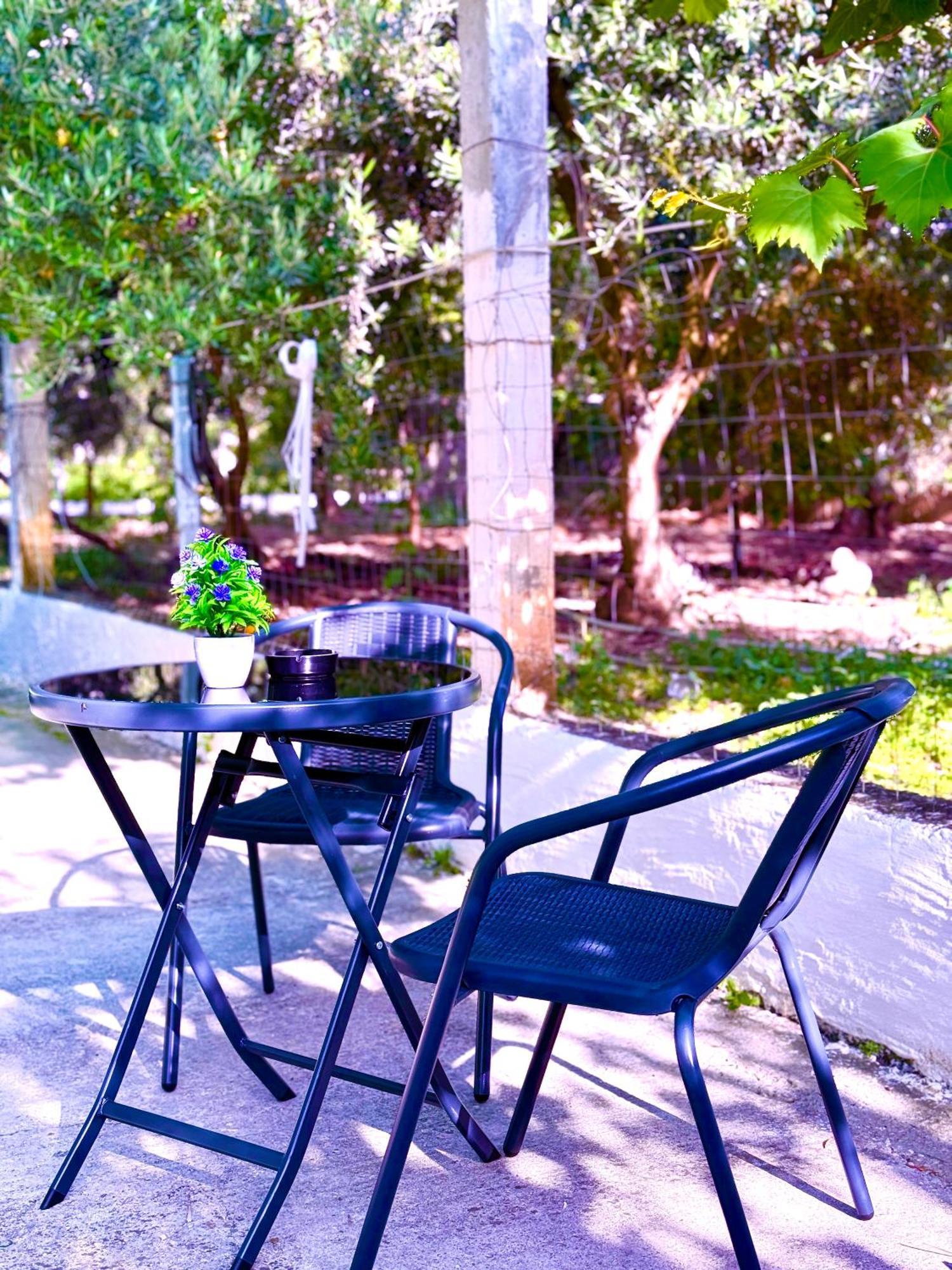 Serenity In Vlorë